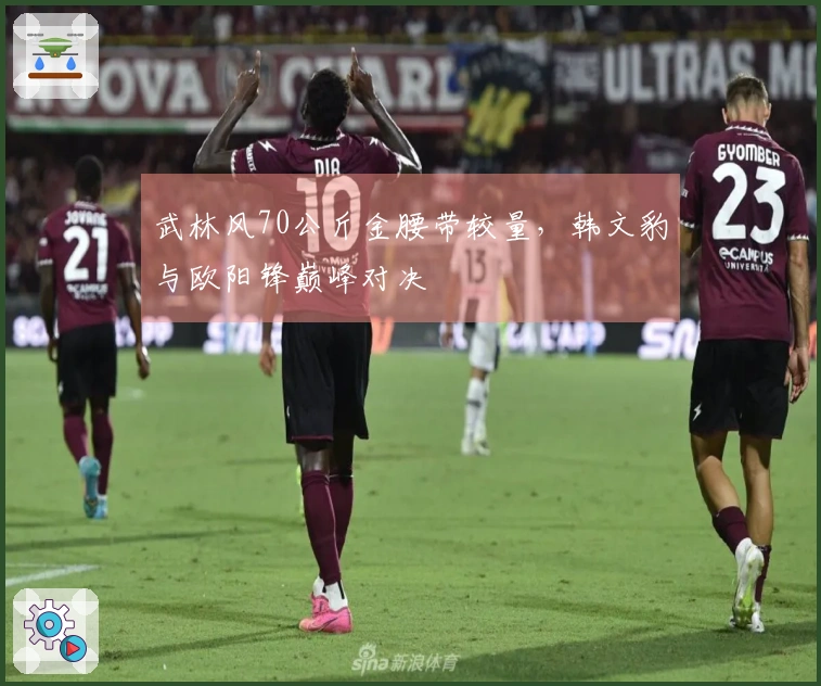 武林风70公斤金腰带较量，韩文豹与欧阳锋巅峰对决