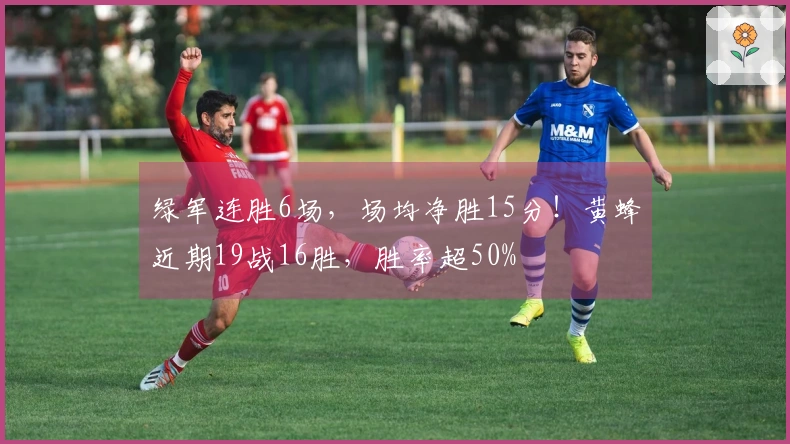 绿军连胜6场，场均净胜15分！黄蜂近期19战16胜，胜率超50%