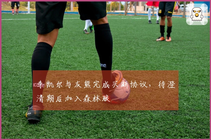 李凯尔与灰熊完成买断协议，待澄清期后加入森林狼