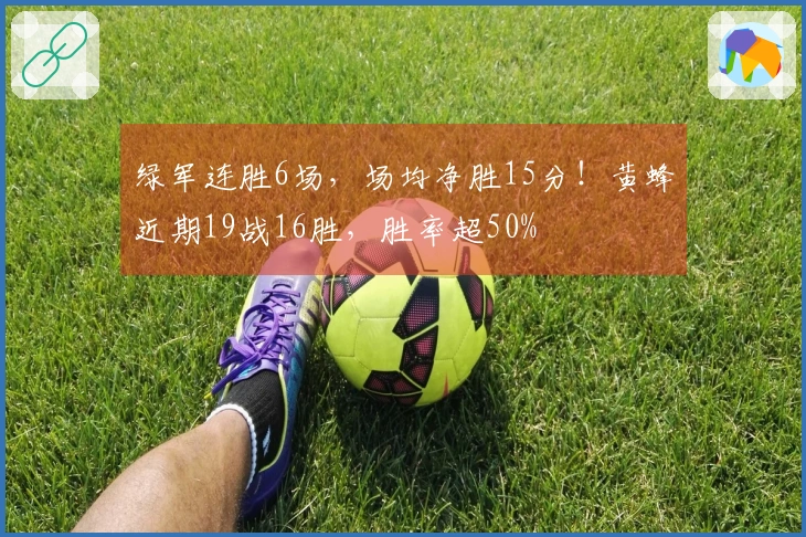 绿军连胜6场，场均净胜15分！黄蜂近期19战16胜，胜率超50%