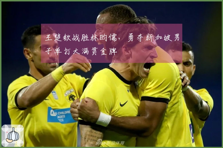 王楚钦战胜林昀儒，勇夺新加坡男子单打大满贯金牌
