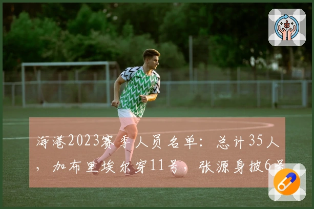 海港2023赛季人员名单：总计35人，加布里埃尔穿11号，张源身披6号