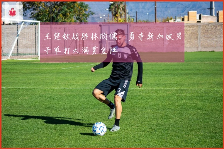 王楚钦战胜林昀儒，勇夺新加坡男子单打大满贯金牌